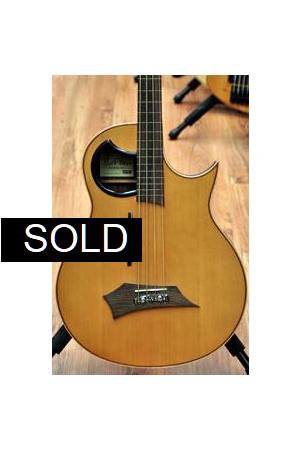 Warwick Alien Fretless w Lines Warwick Alien Fretless w Lines